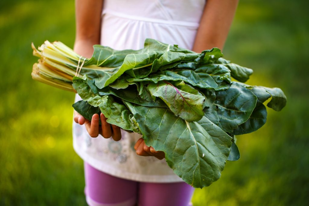 Root Veggie person holding bok choy